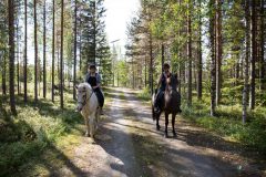 balade à cheval, Laponie Suédoise