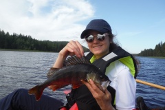 pêche à la perche en Laponie