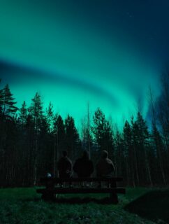 Après 3 semaines de ciel nuageux, on voit enfin les étoiles et les aurores...#flarkenadventure #suede #suède #laponie #laponiesuedoise #sweden #swedishlapland #visitsweden #visitskellefteå #visitnorsjö #auroreboreale #aurorepolaire #northerlights #nightphotography