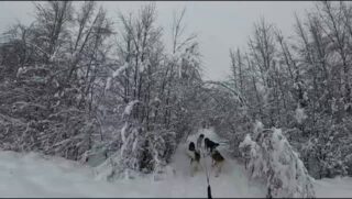 J-6 avant la saison. Les chiens sont en forme, les pistes sont prêtes, on vous attend !! ❄️ 🐾 #flarkenadventure #laponiesuedoise #chiendetraineau #sleddog