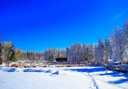The kennel in Flarken @Flarken Adventure Flarken Adventure's kennel in Swedish Lapland