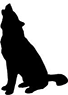 accueil-entrainement-chiens-automne-suede-laponie-flarken-adventure