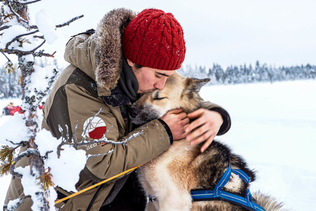 Pause câlin avec chien de traîneau en Laponie Suédoise