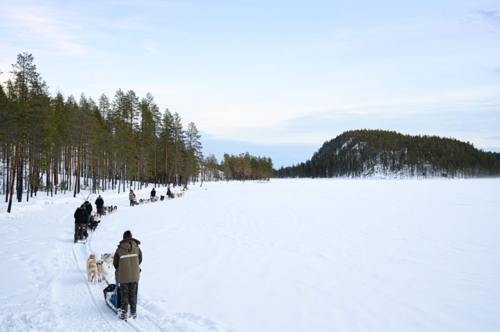 attelages de chiens de traineaux sur un lac gelé en Laponie suédoise