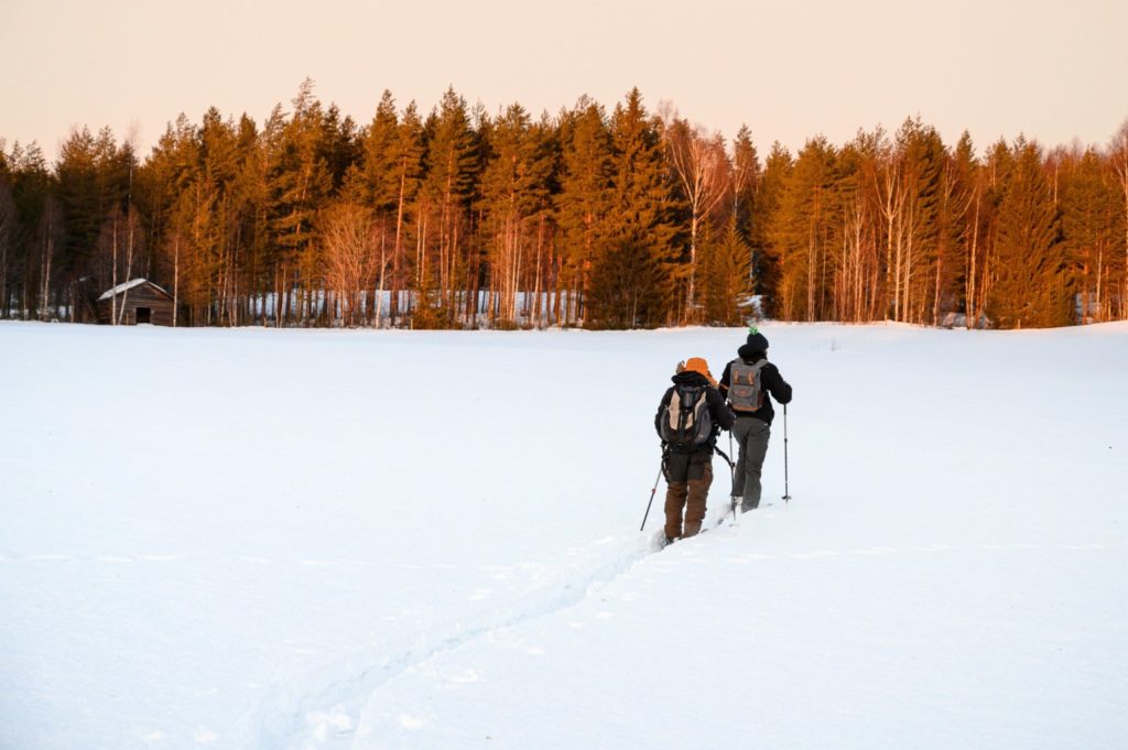 Balade en ski altaï en Laponie suédoise