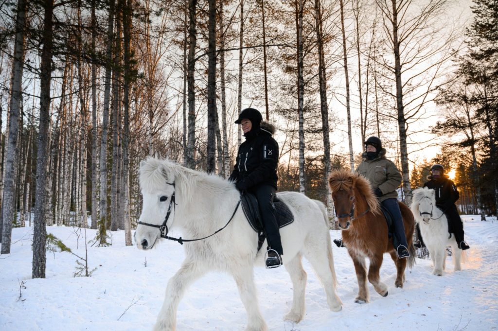 Balade à cheval en Laponie suédoise