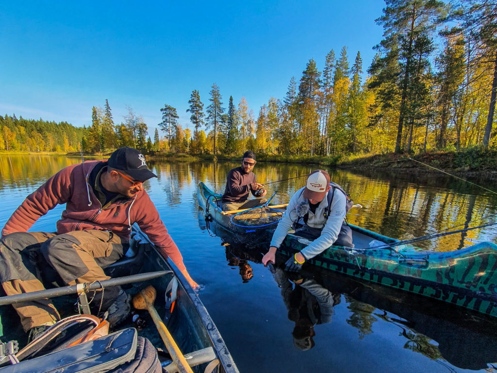 Ce ne serait pas un petit brochet ? A la pêche aux brochets sur un lac en Laponie Suédoise