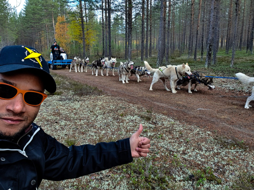 Tour en kart avec des chiens de traineaux en laponie suédoise