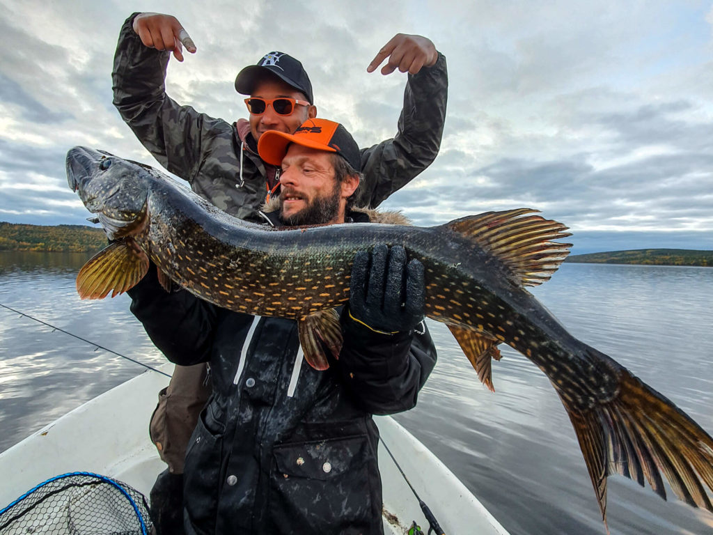 Gros brochet de 108 cm en Laponie suédoise