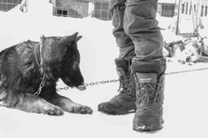 Bottes de neige pour le Grand Nord