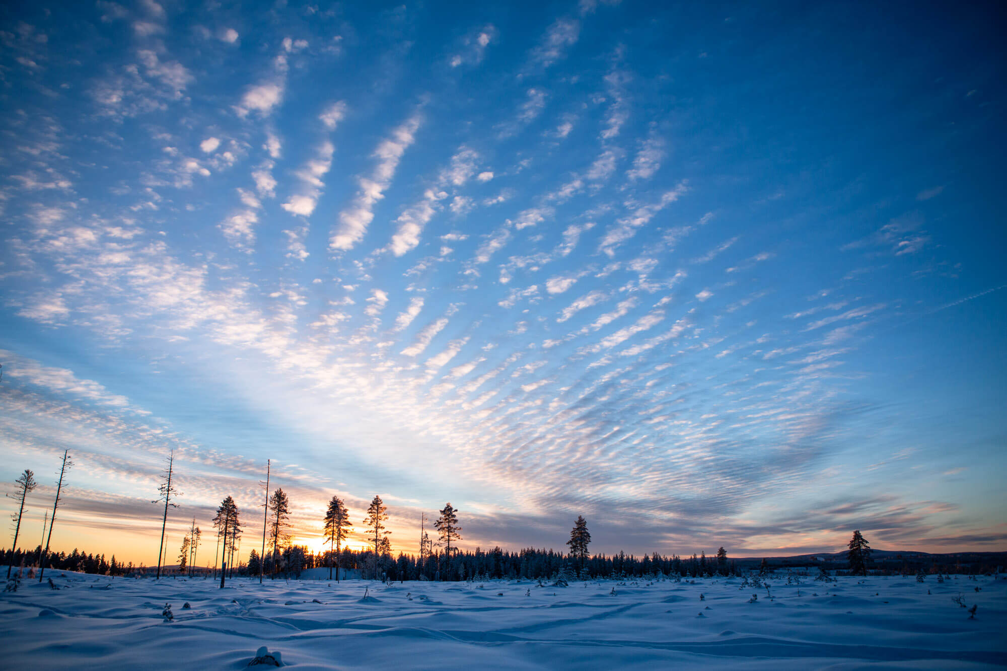 Paysage d'hiver en Laponie suédoise