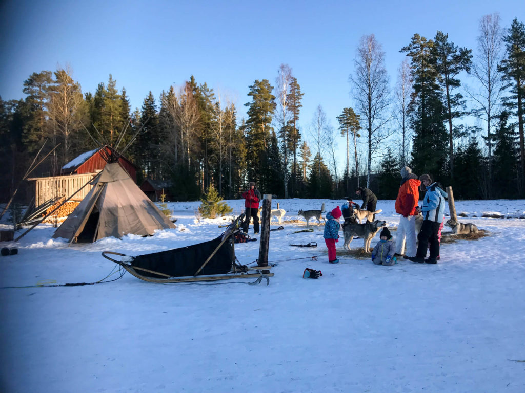 Mooneye Sled Dog chenil dans le Varmland en Suède