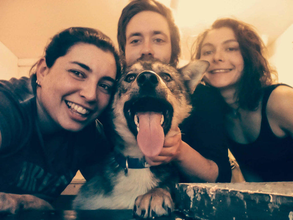 Handleurs et chien en Laponie suédoise