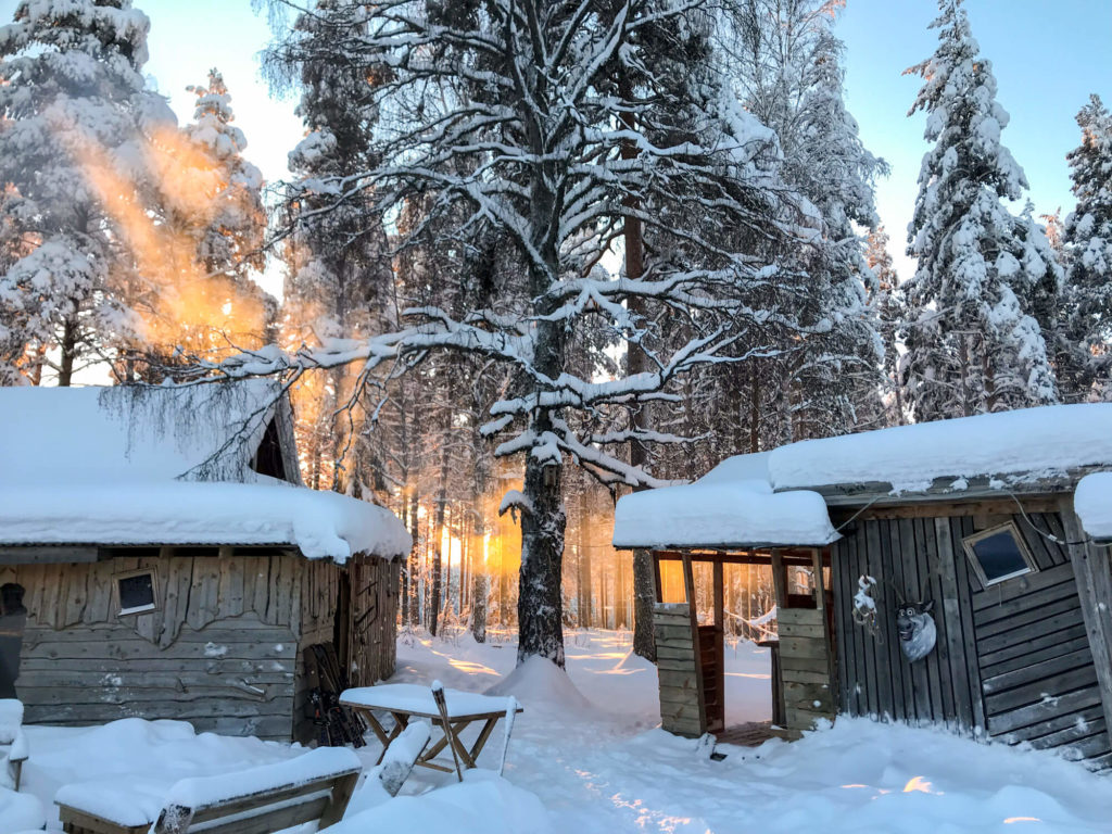 Lumière de neige en Laponie