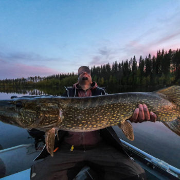 Un pecheur pose avec un enorme brochet en laponie suedoise