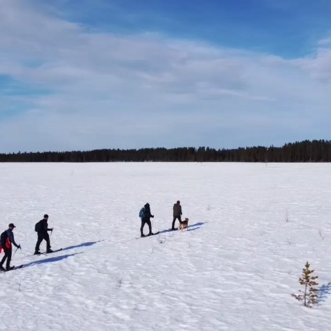 Raid en ski Altaï.Nous avons été gâtés par la météo!#flarkenadventure #suede #laponie #laponiesuedoise #sweden #lapland #swedishlapland #visitsweden #visitskelleftea #vasterbotten #visitnorsjö #ski #skiderando #skialtaï #randoaski