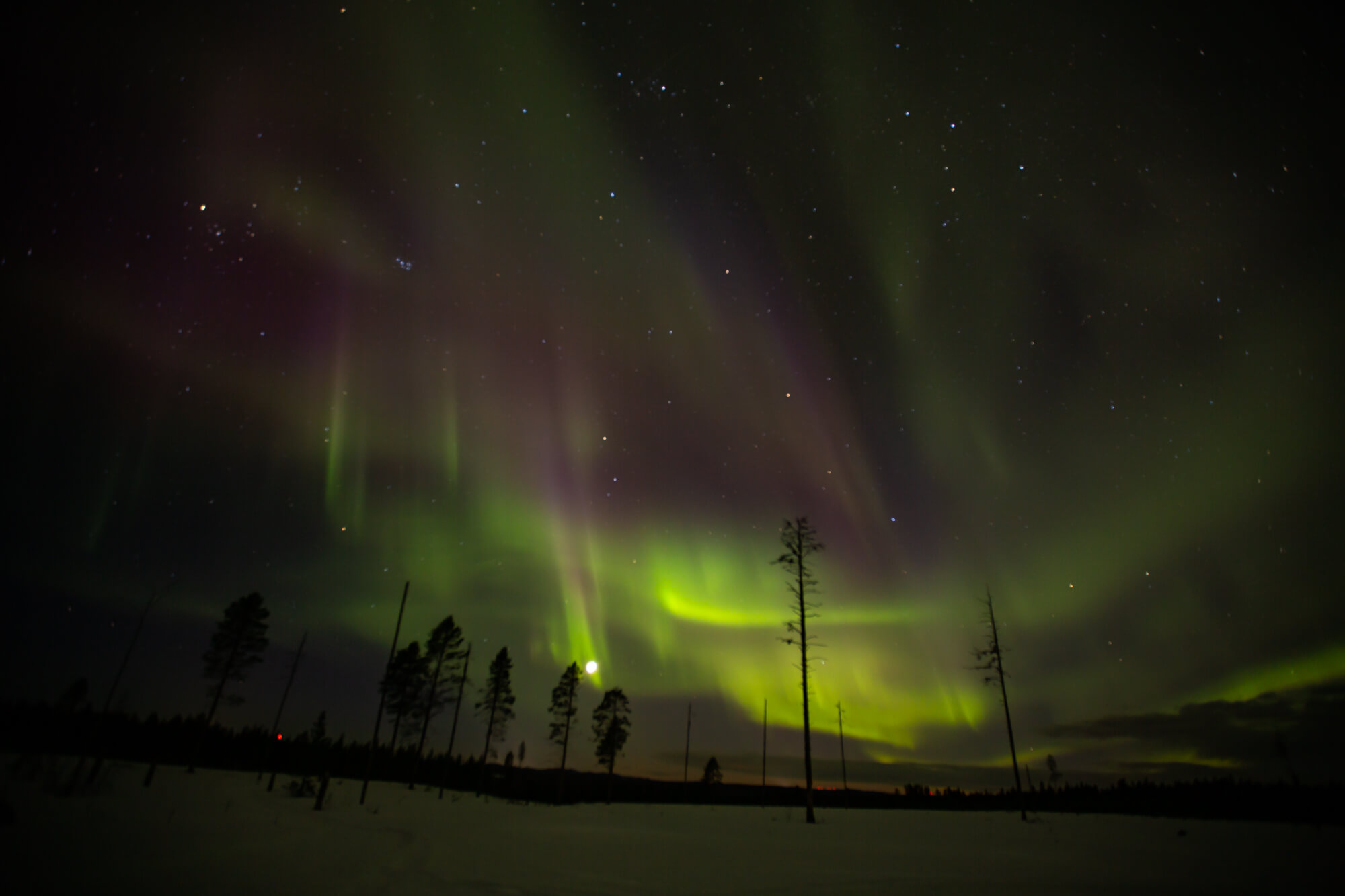 Aurores boreales en laponie suedoise