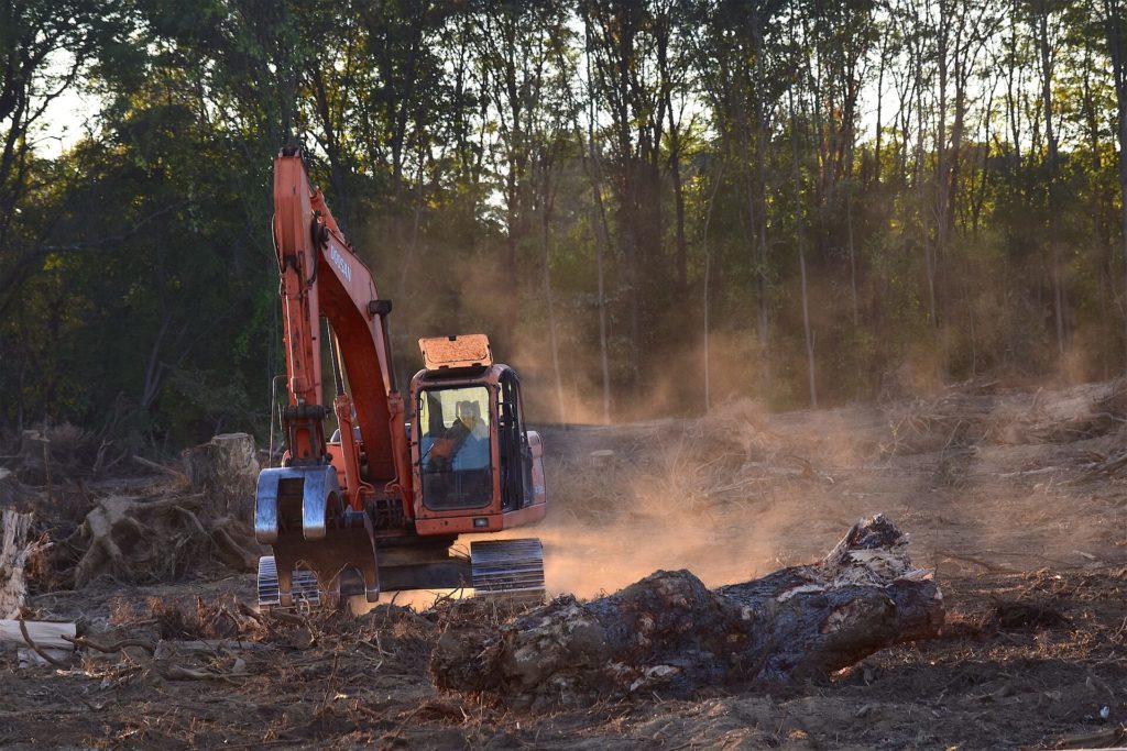 exploitation forestière en Laponie suédoise