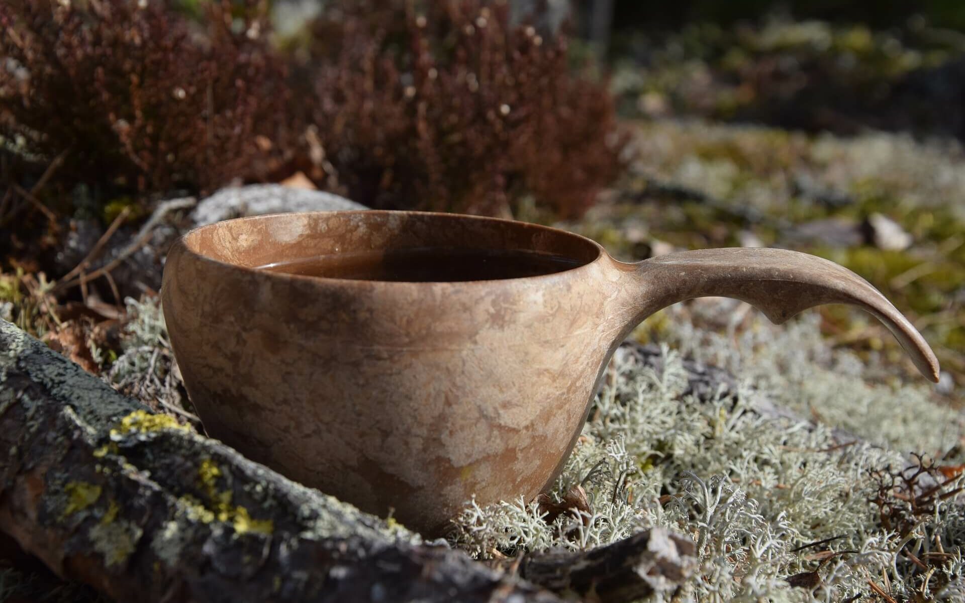 une kuksa pleine d'eau de bouleau