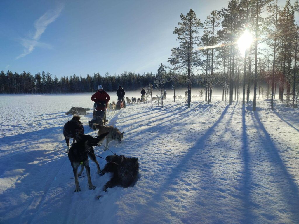 S'habiller pour le grand froid et le chien de traîneau en Laponie suédoise