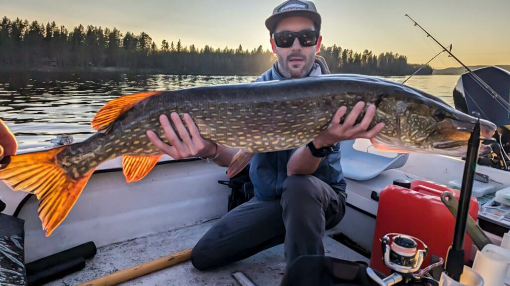 Un pêcheur pose avec un brochet d'un mètre en Suède
