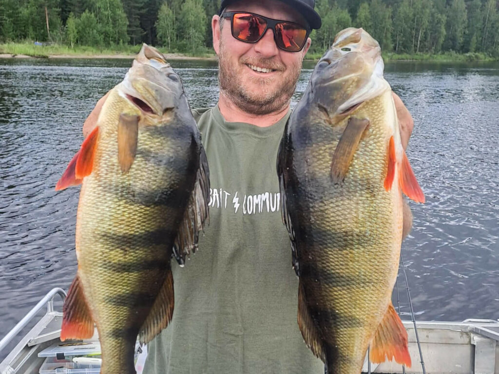 un pêcheur avec 2 perches de 40 cm en Laponie Suédoise