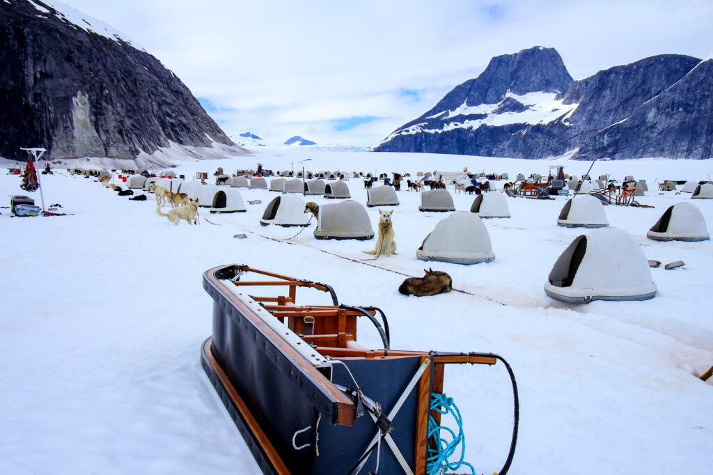 Un camp de chiens de traîneau sur un glacier en Alaska