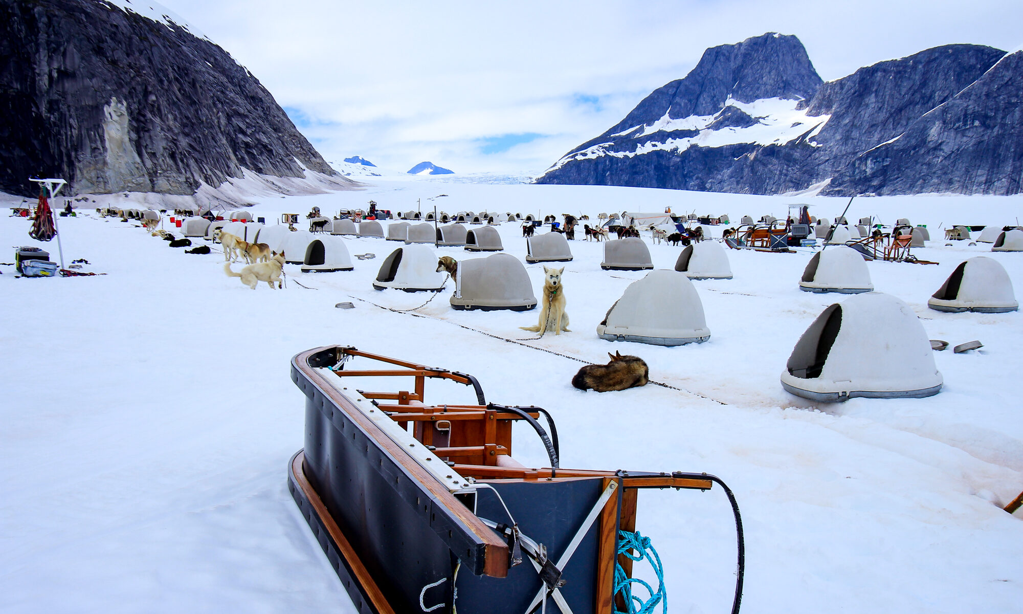 Un camp de chiens de traîneau sur un glacier en Alaska