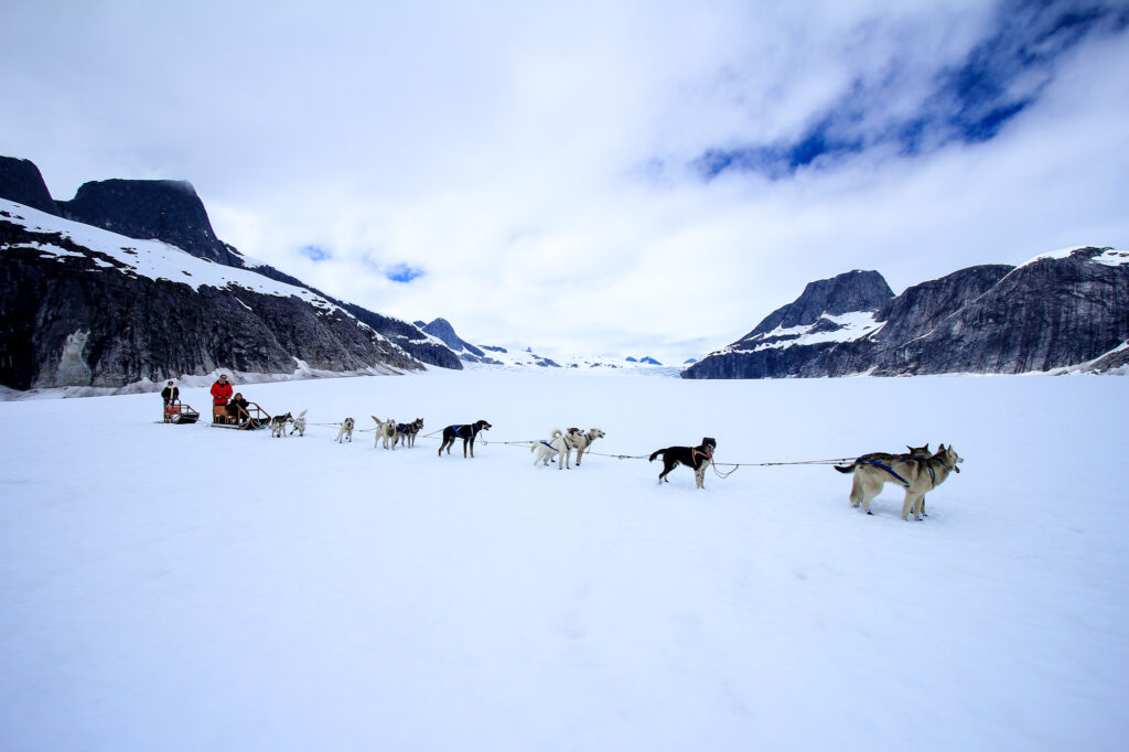 Attelage de chien de traîneau sur un glacier en Alaska