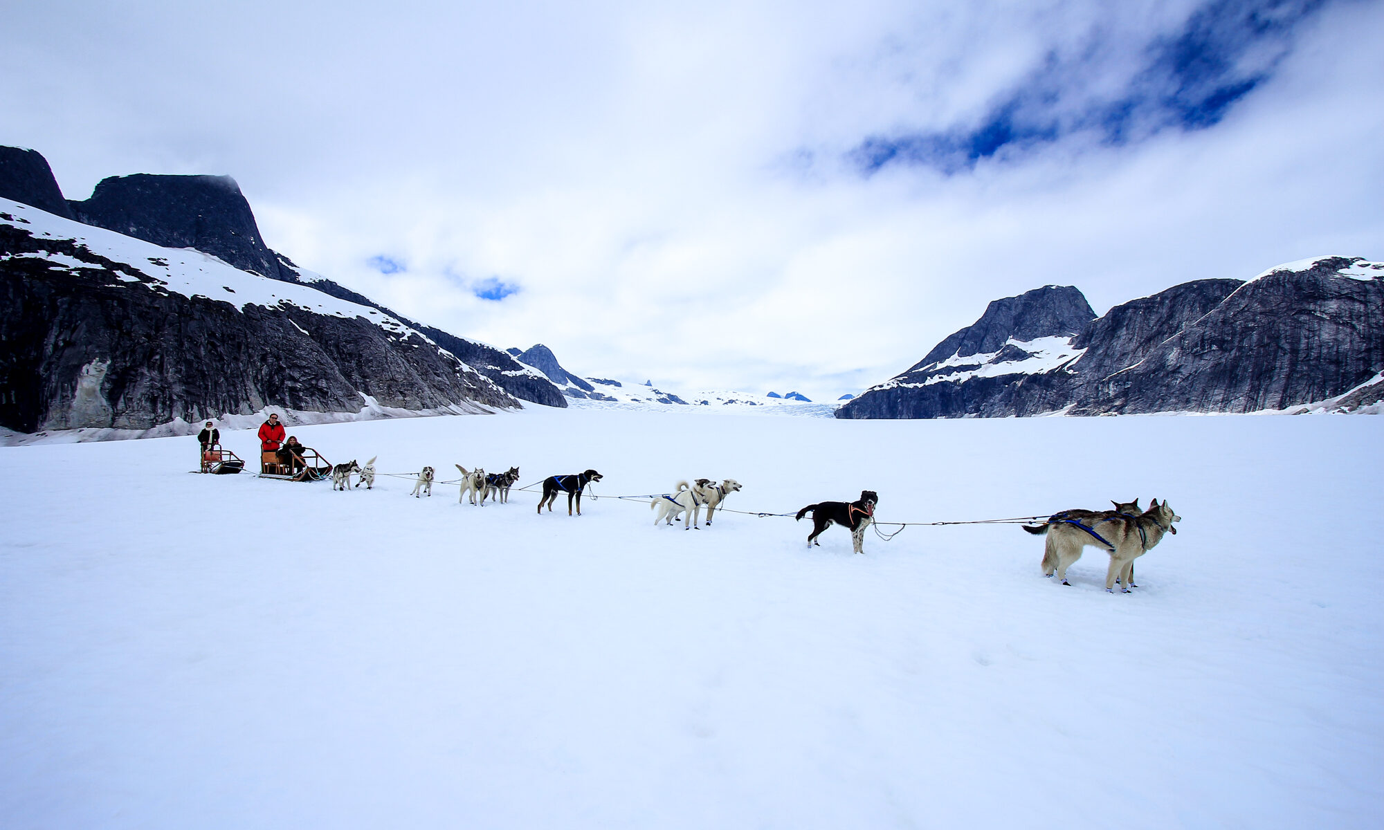 Attelage de chien de traîneau sur un glacier en Alaska