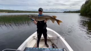 Quatrième semaine de pêche de la saison et les beaux poissons se succèdent.Très beau brochet de 103 cm pour Ethan et 12e métré de l'année !!#flarkenadventure #laponie #brochet #voyagedepeche #fishingtrip