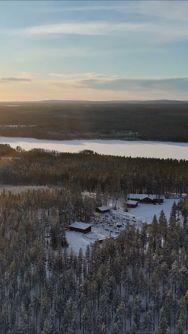 Plus que 52 jours avant le lancement de la saison. On a hâte !!Merci @renovation.masaucomte pour la vidéo#flarkenadventure #laponie #chiensdetraineau #voyageorganisé #visitsweden