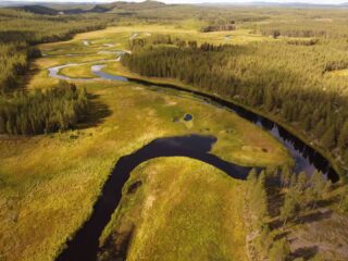 🌲 Quelques uns de nos spots de pêche vus d'en haut 🎣#flarkenadventure #dronephotography #fishtique #laponiesuedoise #visitsweden