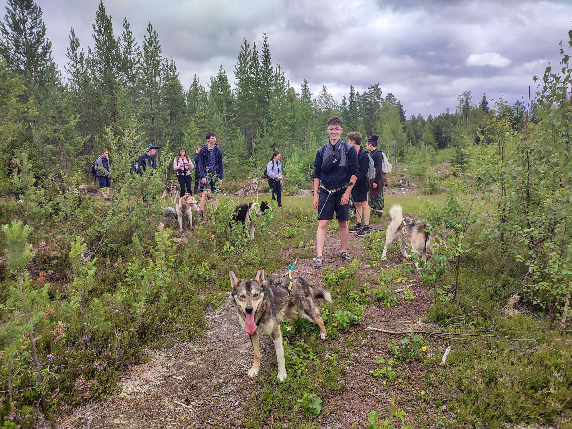 avis-voyageurs-suede-laponie-flarken-adventure-68 Un groupe de jeunes en cani rando en Laponie