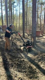 Desentraînement, peinture, entretien... Mais ça ne serait pas le printemps ? 🌞🌈🌲#flarkenadventure #suede #laponie #laponiesuedoise #sweden #lapland #swedishlapland #visitsweden #visitskelleftea #vasterbotten #chiendetraineau #chiensdetraineaux #sleddog #dogsledding #happydog #dogofinstragram #springcleaning #visitnorsjö