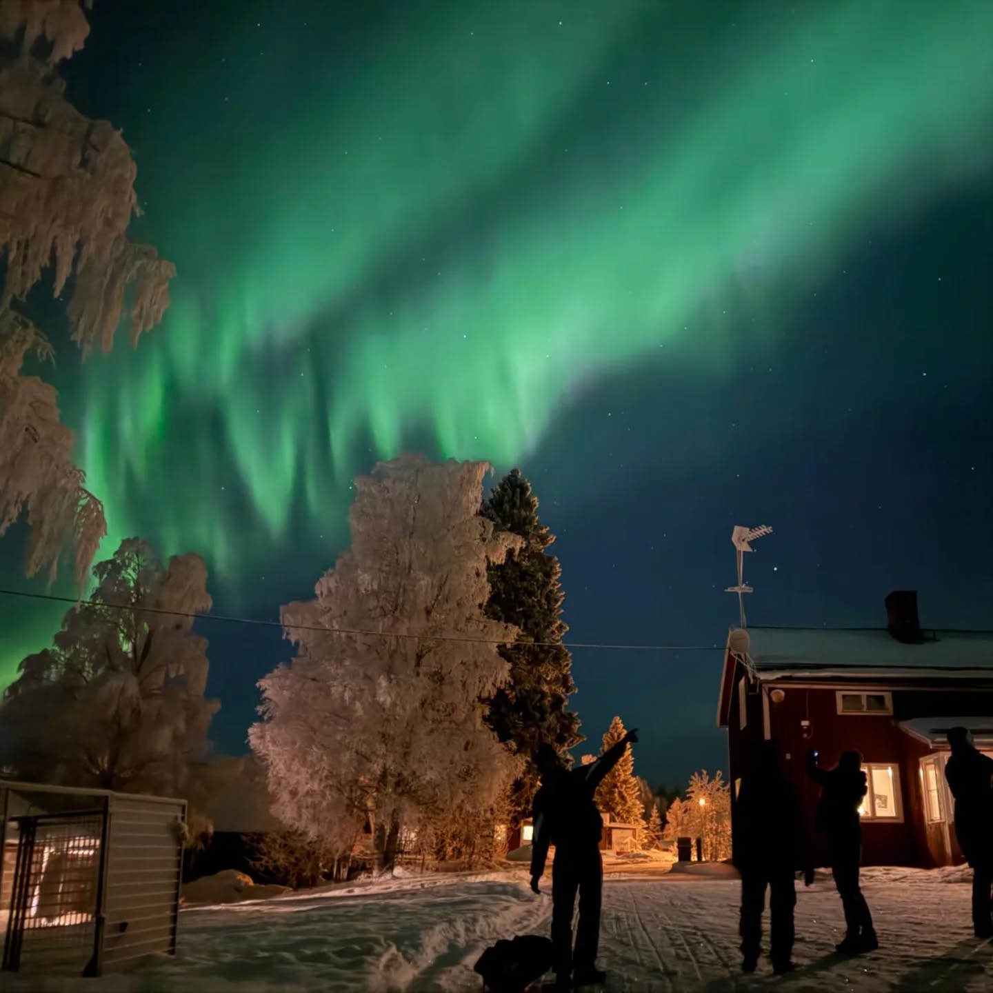C'est toujours aussi beau quand elles illuminent le ciel.#flarkenadventure #laponie #auroreboreale #voyage #northerlights