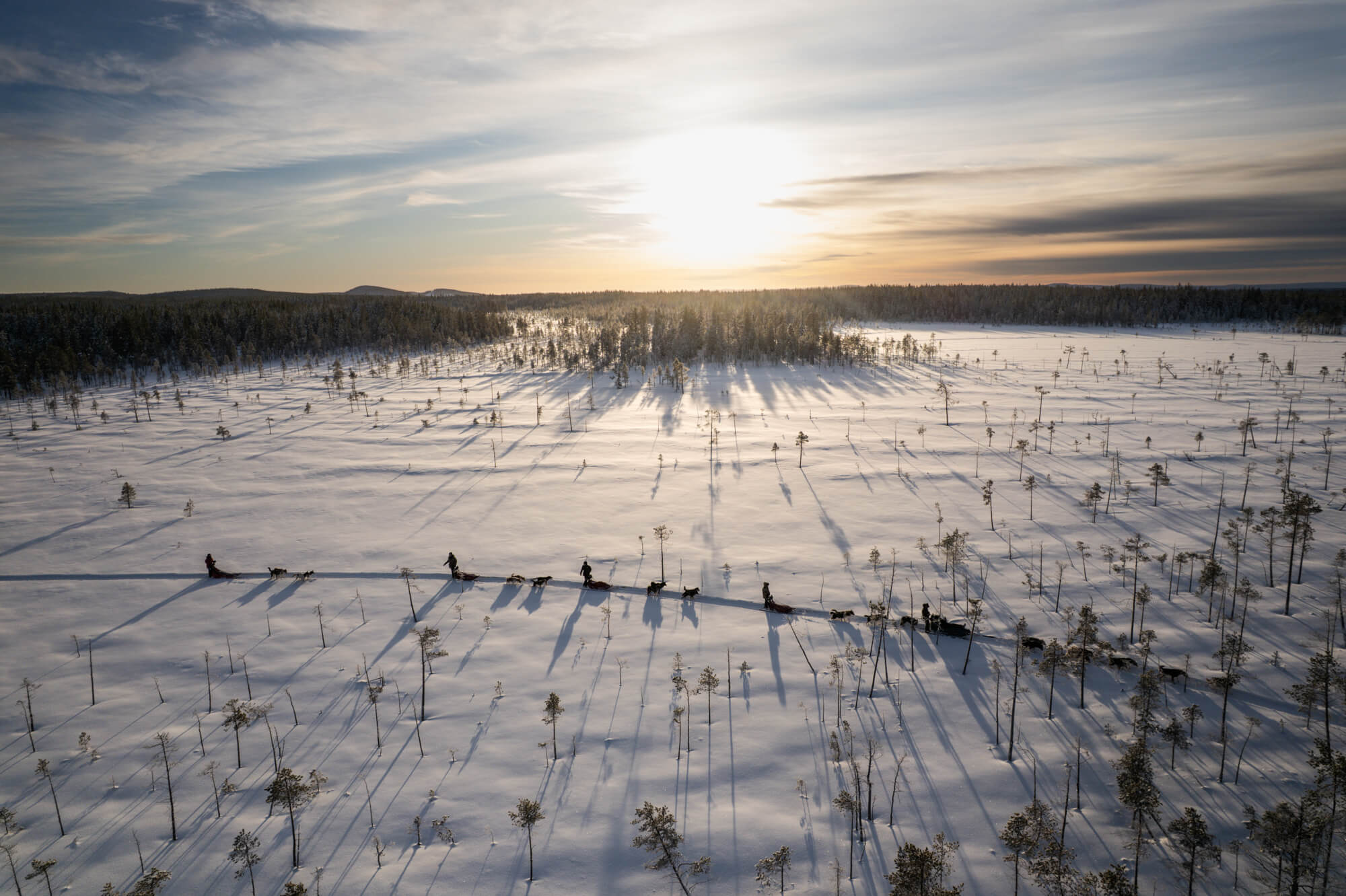 questions-reponses-suede-laponie-flarken-adventure-233 Attelages de chiens de traîneau traversant un paysage arctic vus du ciel