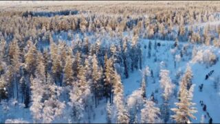 Un hiver très froid mais des paysages à couper le souffle !#flarkenadventure #laponie #visitsweden #chiendetraineau #dogsledding