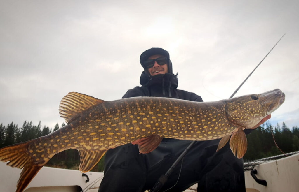 Julien, guide de pêche chez Flarken Adventure avec un beau brochet de plus d'un mètre
