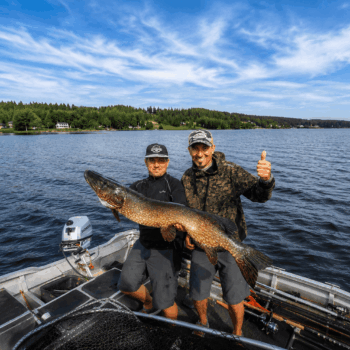 peche-suede-laponie-flarken-adventure-11 2 pêcheurs posent avec un beau brochet en laponie