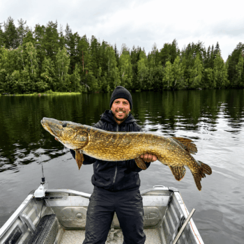 sejour-peche-suede-laponie-flarken-adventure-830 Un pêcheur pose avec son beau brochet de plus d'un mètre en Laponie Suédoise