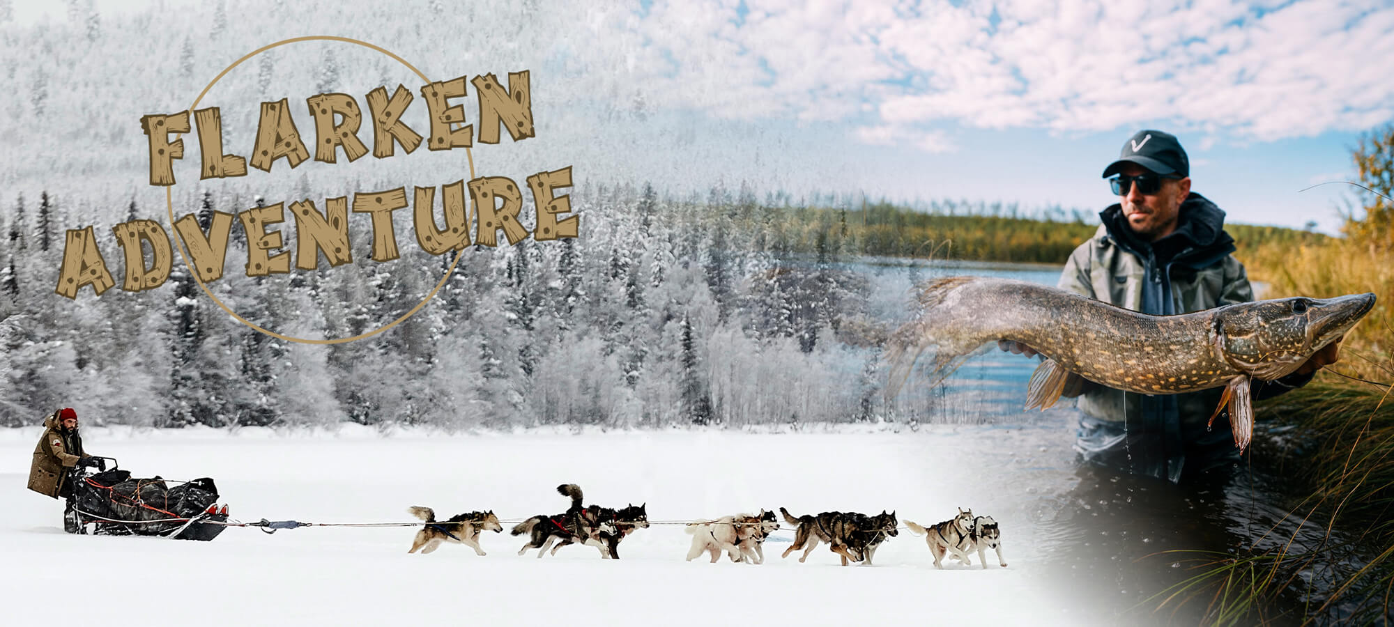 Photo de la page d'accueil de Flarken Adventure - un musher et son attelage de chiens de traîneau et un pêcheur avec un gros brochet en Laponie suédoise