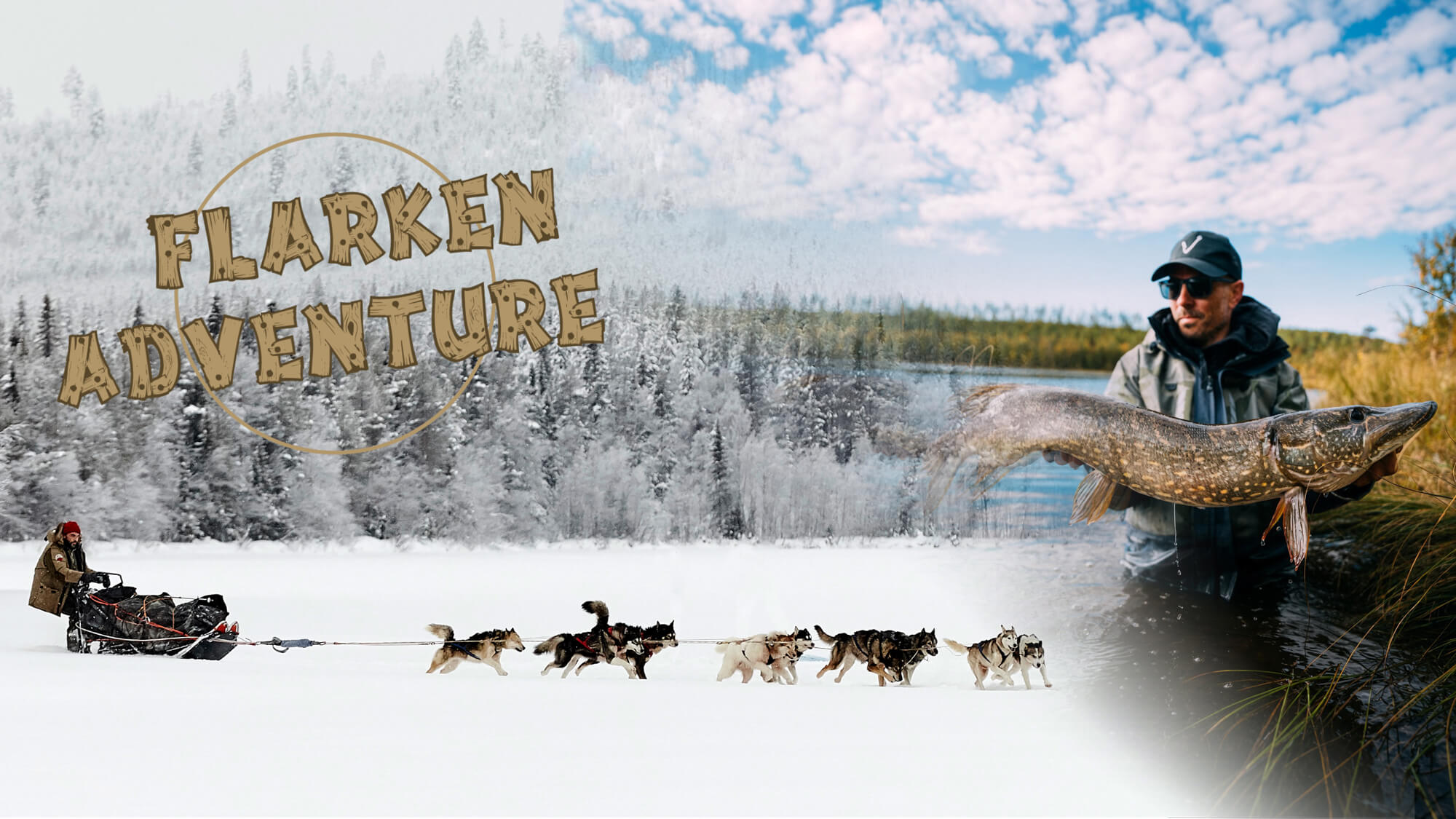 Photo de la page d'accueil de Flarken Adventure - un musher et son attelage de chiens de traîneau et un pêcheur avec un gros brochet en Laponie suédoise