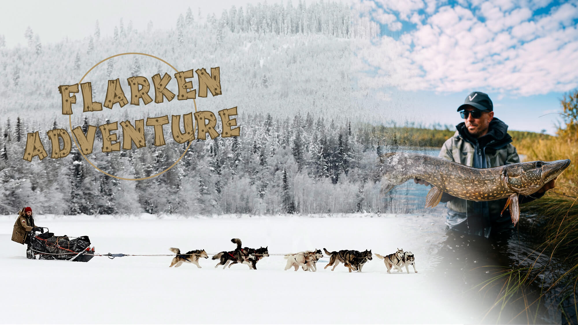 Phot de la page d'accueil de Flarken Adventure - un musher et son attelage de chiens de traîneau et un pêcheur avec un gros brochet en Laponie suédoise